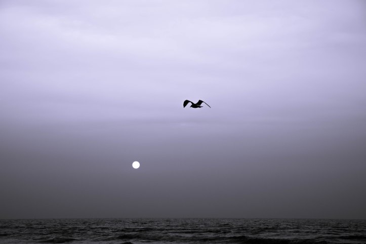 Beach 20151002 TMP-025