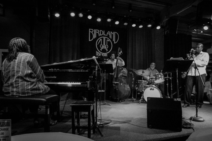 Wordpress NY TMP-1004