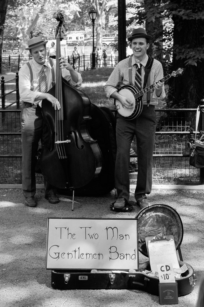 Wordpress NY TMP-1131