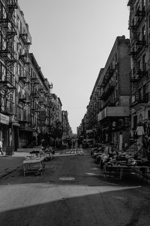 Wordpress NY TMP-1144