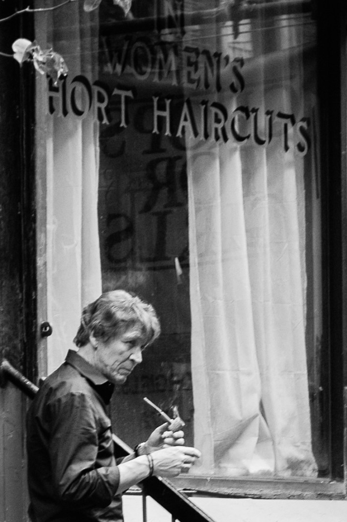 Wordpress NY TMP-1146