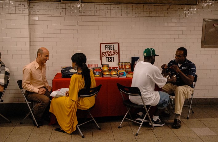 Wordpress NY TMP-846