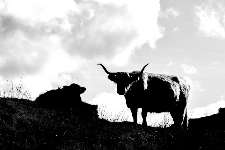 Lake District 2016-4