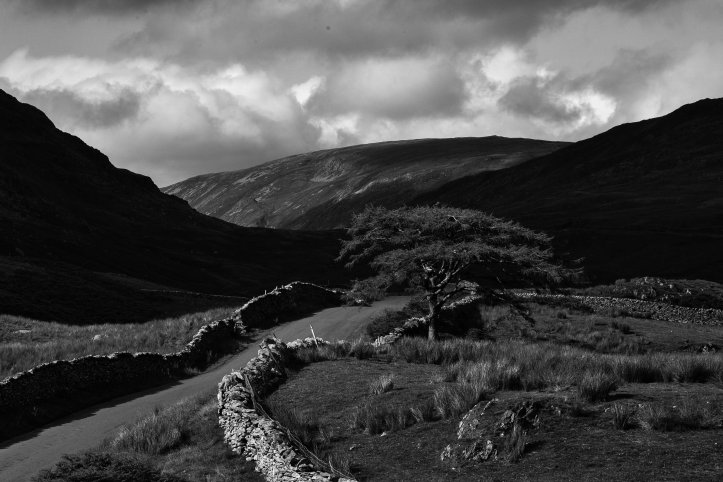 Lake District 2016-5