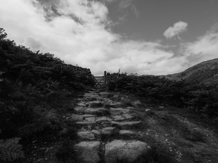 Lake District 2016-6