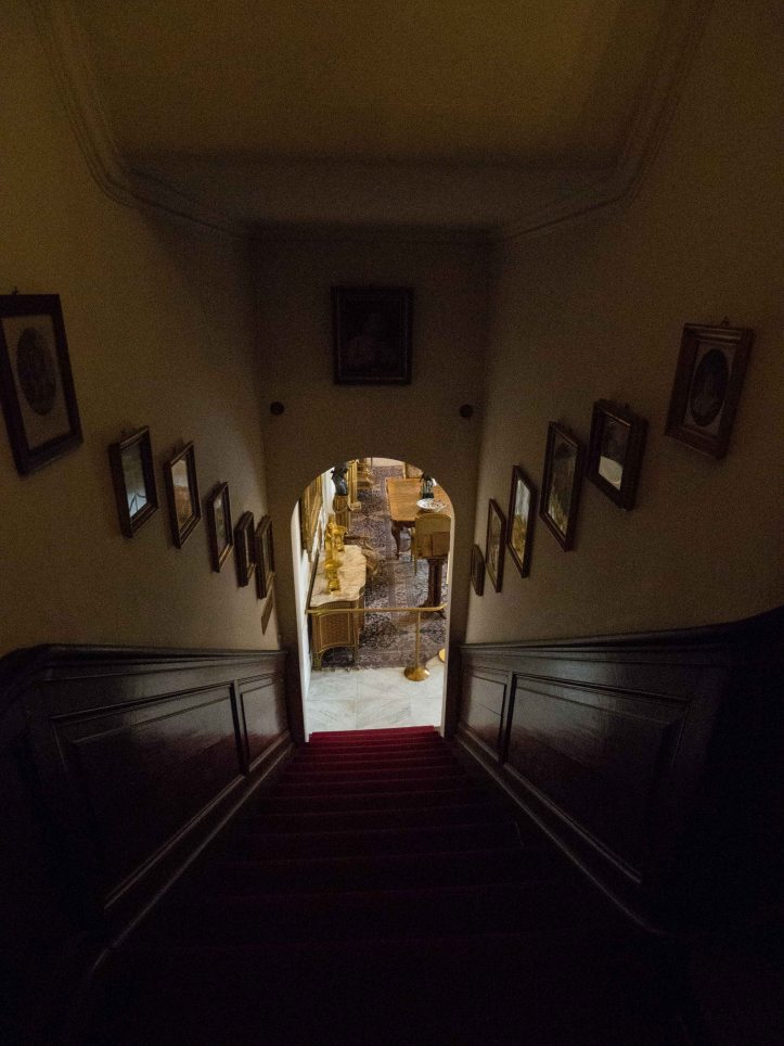 OLYMPUS DIGITAL CAMERA