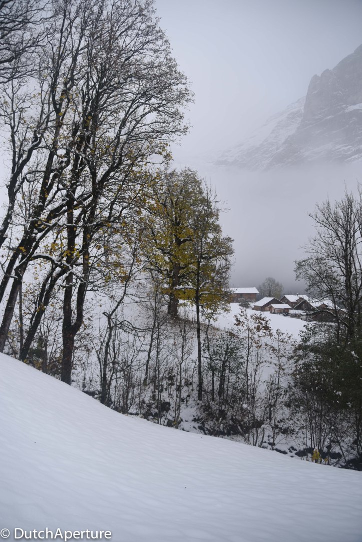 Grindelwald 2-11